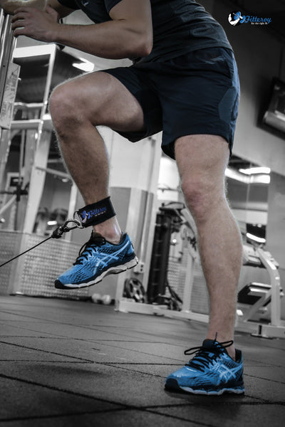 Ankle Straps for Cable Machine and Resistance Exercises (Pair)